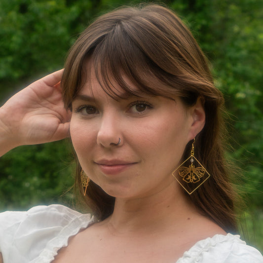 Moth Specimen in Frame Earrings