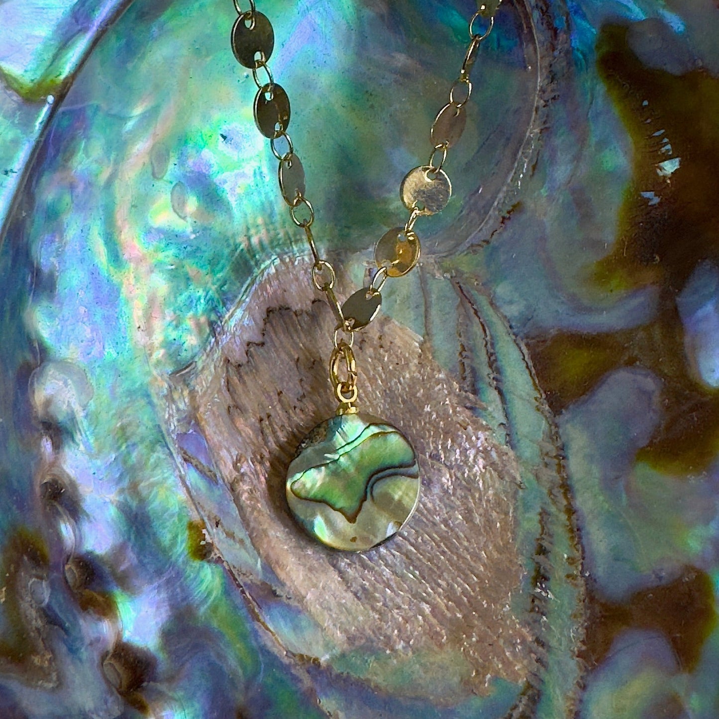 Tidal Treasure Abalone Necklace