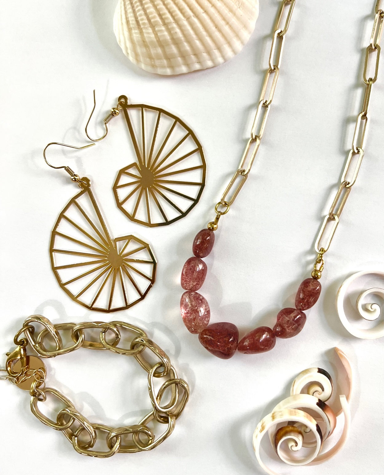 Nautilus Spiral Earrings in Gold