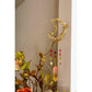 Sun Energy Crescent Moon Sun Catcher